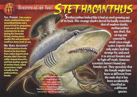 Image - Stethacanthus front.jpg | Wierd N'wild Creatures Wiki | Fandom ...