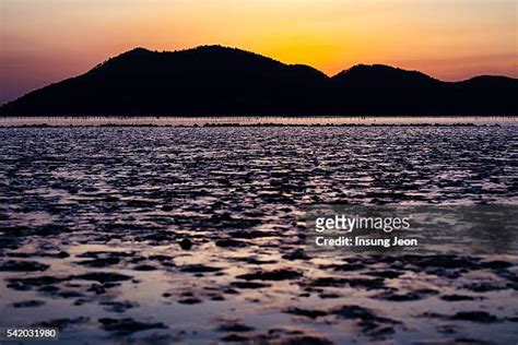 168 Suncheon Bay Stock Photos, High-Res Pictures, and Images - Getty Images