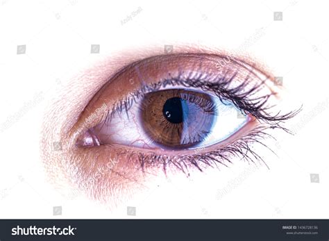 441,311 Human Eye Isolated Images, Stock Photos & Vectors | Shutterstock