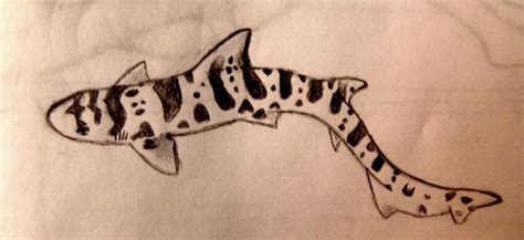 Leopard shark tattoo idea Shark Tattoos, Animal Tattoos, Leg Tattoos, Cute Tattoos, Sleeve ...