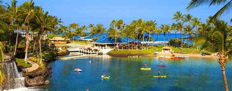 Snorkeling In Hawaii’s Lagoon Waikoloa – DesertDivers