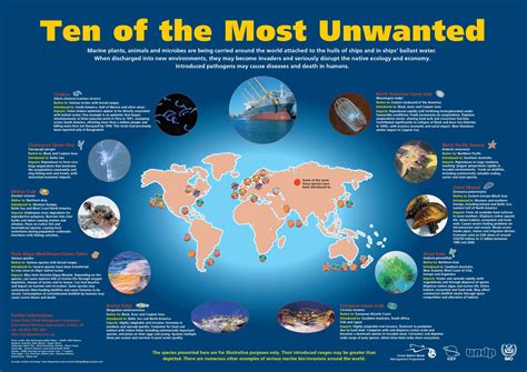 Introduction Of Invasive Species