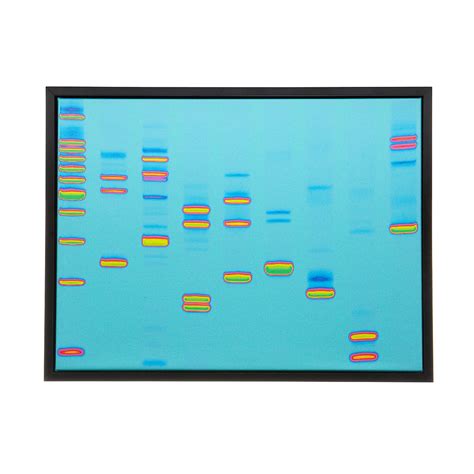 DNA Art Portrait | scientific art | UncommonGoods