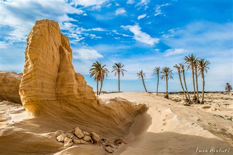 Tozeur, Tunisia. For more visit : i-love-tunisia.tumblr.com Desert Mountains, Libya ...