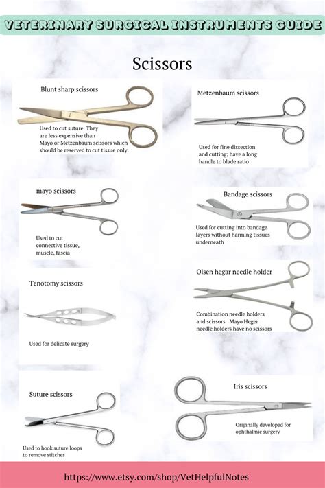 Vet Tech Surgical Instruments Guide, Veterinary Surgical Instruments ...