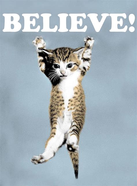 Believe Cat Poster Poster Digital Art by Kailani Smith | Pixels