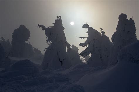 Juhyo: The Snow Monsters on Japan’s Mount Zao - The Atlantic