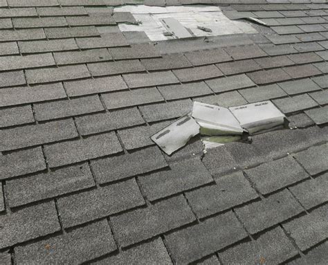 Common Signs of Roof Damage | Call Ferris Roofing