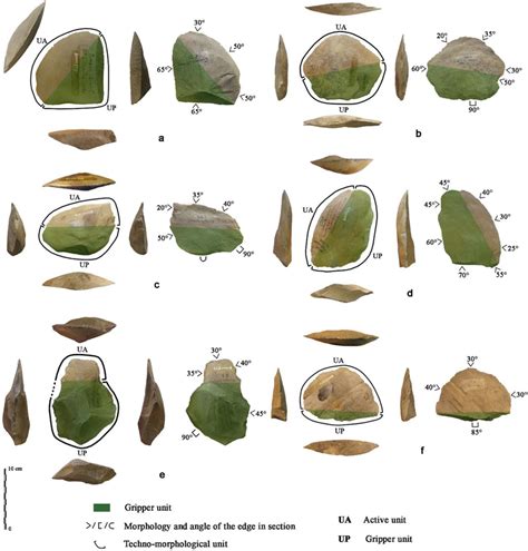 Large flake tools with simple functional structure from the site of... | Download Scientific Diagram