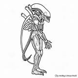 Alien Xenomorph Coloring Pages  Free & Printable sketch template