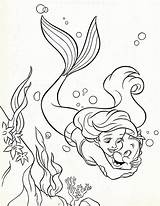 Ariel And Flounder Coloring Page  Home sketch template