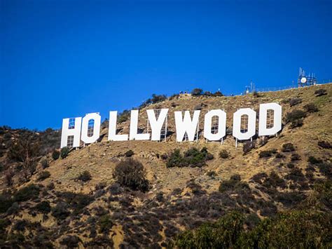 Hollywood - Bilder und Stockfotos - iStock