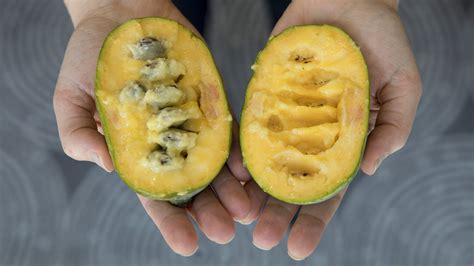 This Once-Obscure Fruit Is On Its Way To Becoming PawPaw-Pawpular : The Salt : NPR