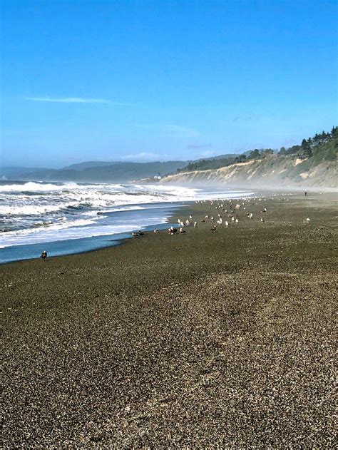 Agate Beach, California | Beach, Places ive been, Outdoor