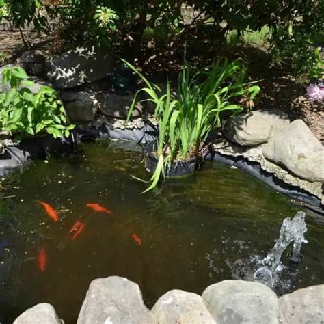 30 Outdoor Goldfish Pond Design Ideas - Pond Informer