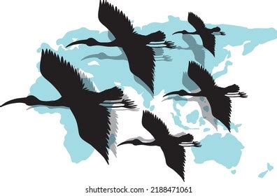 Silhouette Heron Birds Flying Illustration Stock Vector (Royalty Free ...