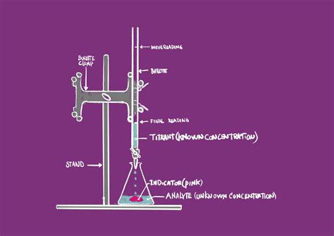 Acid-Base Titration Lab — DataClassroom | Red Cabbage Lab: Acids and ...