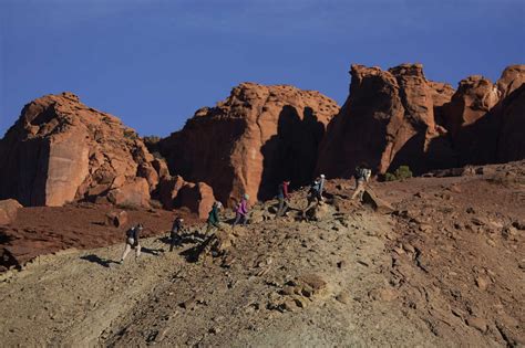 Photos: The rare 'ring of fire' eclipse : NPR