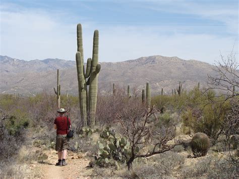 Saguaro National Park Camping Map images