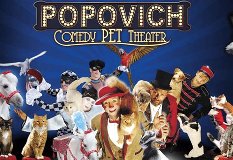 Popovich Comedy Pet Theater | Las Vegas Direct