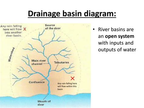 PPT - The drainage basin. PowerPoint Presentation, free download - ID:2876113