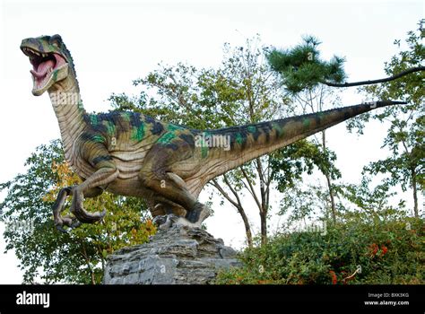 Replica Tyrannosaurus rex at Goseong Dinosaur Museum, South Korea Stock ...