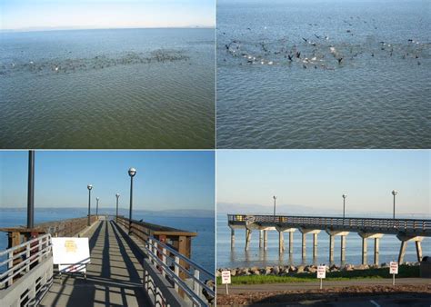 Oyster.Point.P_2007 - Pier Fishing in California