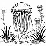 Jellyfish And Sea plants coloring Page Lulu Pages sketch template