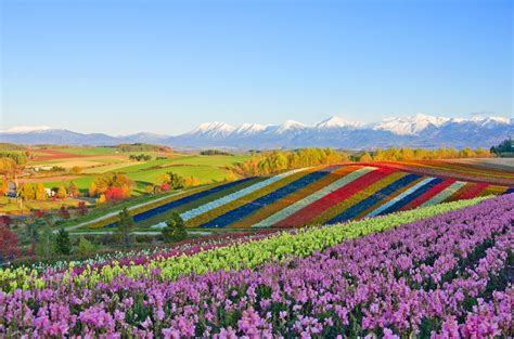 Is Northern Japan/Hokkaido worth travelling in summer or winter?