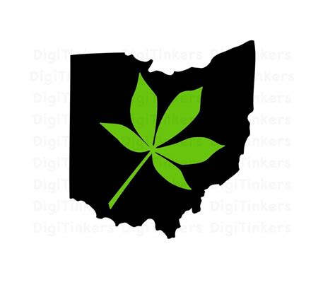 State of Ohio Outline, Buckeye Leaf Design, Design for Crafting, Cricut ...