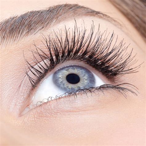 Lash Lift Curl Types | ubicaciondepersonas.cdmx.gob.mx