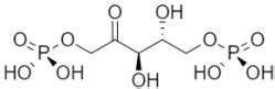 Photosynthesis