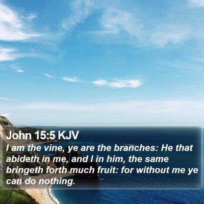 John 15 Scripture Images - John Chapter 15 KJV Bible Verse Pictures