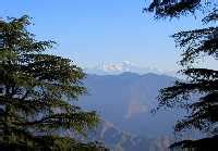 Best Time To Visit Landour > Weather And Festivals