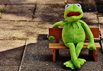 kermit, frog, wine, drink, alcohol, drunk, rest, sit, figure, funny, frogs | Pikist