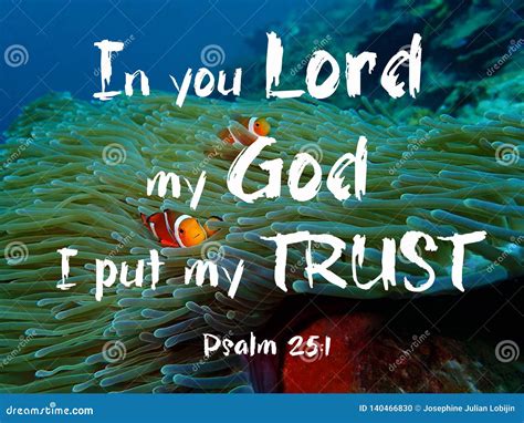 I Trust You God