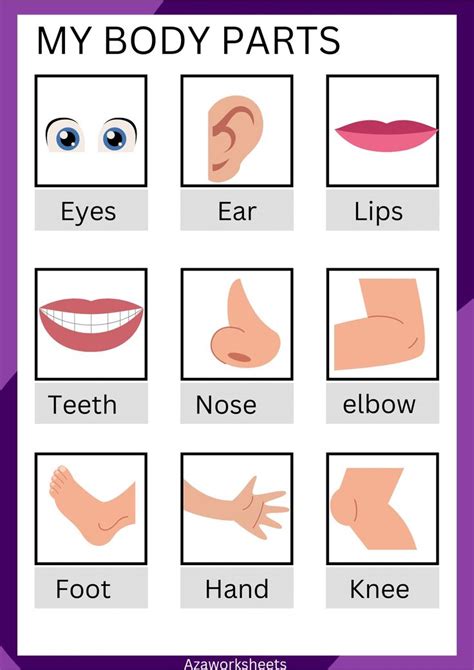 the body parts and their names