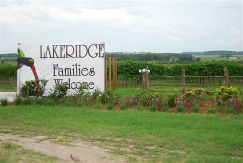 Helen A. Lockey: Lakeridge Vineyards: Florida Dry Wines in Clermont