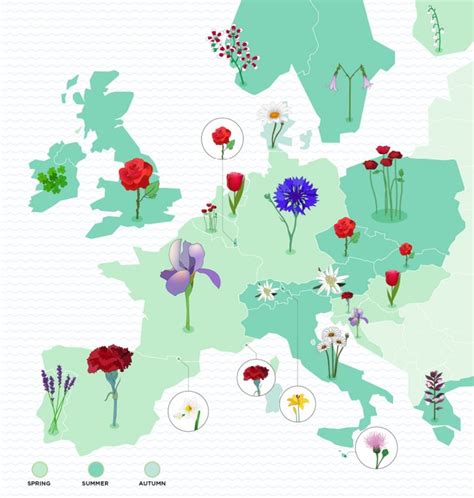 The Roots of Europe's National Flowers