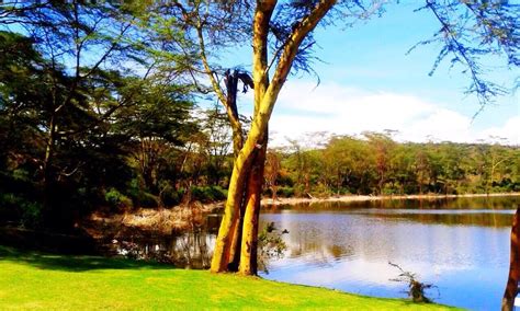 THE BEST Naivasha Running Tours (with Prices) - Tripadvisor