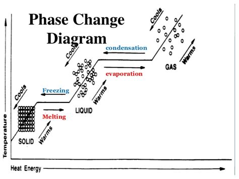 What happens to the temperature during a phase change? | Socratic