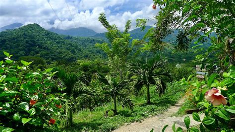 Minca, Colombia: A Change of Scenery | This Remote Corner