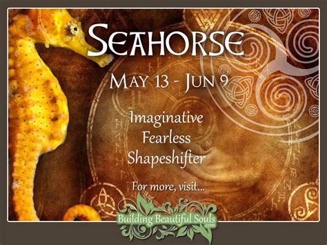 Seahorse Celtic Zodiac Sign Meanings, Traits, Personality, & Compatibility | Celtic Astrology ...