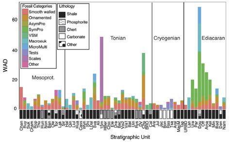 Rapid Uplift: Eukaryote Evolutionary Dynamics Through The Proterozoic