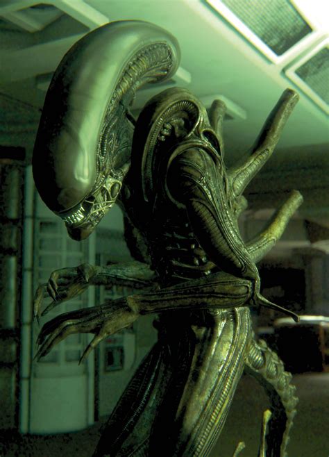 Xenomorph | VS Battles Wiki | FANDOM powered by Wikia