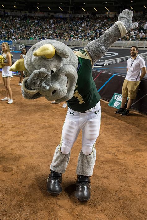 USF Mascot Rocky the Bull does the DAB vs WKU Miami Beach Bowl 2015