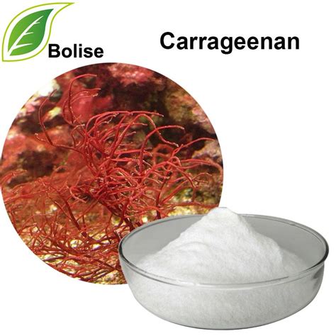 Carrageenan | Carrageenan, Herbal extracts, Herbalism