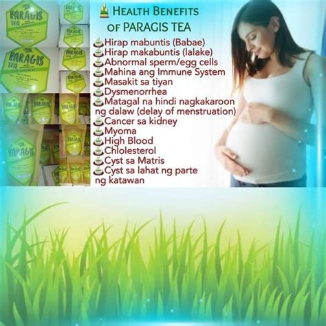 HEALTH BENEFITS OF PARAGIS - ThingsCouplesDo