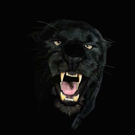 Black Panther by manicx12 on deviantART | Zwarte jaguar, Zwarte panter ...