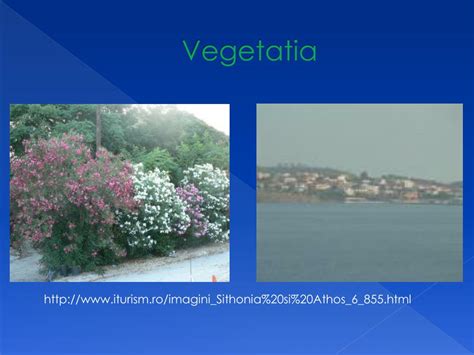 PPT - Grecia PowerPoint Presentation, free download - ID:2043135